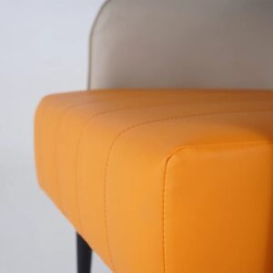 Dual-Tone Leather Upholstered Armchair - Arm chair | seat close view