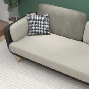 Two-Tone Minimalist Designer Couch - Sofa | close view