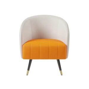 Dual-Tone Leather Upholstered Armchair - Arm chair | front view